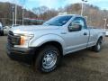 2019 Ingot Silver Ford F150 XL Regular Cab 4x4  photo #8