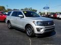 Ingot Silver Metallic 2019 Ford Expedition XLT Exterior