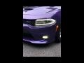 Plum Crazy Pearl - Charger SRT 392 Photo No. 16