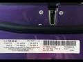 Plum Crazy Pearl - Charger SRT 392 Photo No. 17