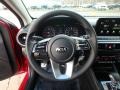  2019 Forte LXS Steering Wheel