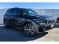 Arctic Grey Metallic 2019 BMW X5 Gallery