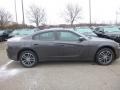 Granite Pearl - Charger SXT AWD Photo No. 6