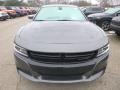 Granite Pearl - Charger SXT AWD Photo No. 8