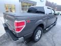 Sterling Grey - F150 XLT SuperCrew 4x4 Photo No. 2