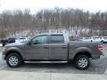 Sterling Grey - F150 XLT SuperCrew 4x4 Photo No. 5