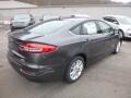 2019 Magnetic Ford Fusion Hybrid SE  photo #2