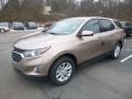 2019 Sandy Ridge Metallic Chevrolet Equinox LT AWD  photo #1