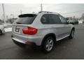 Titanium Silver Metallic - X5 xDrive30i Photo No. 5