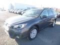 2019 Magnetite Gray Metallic Subaru Outback 2.5i Premium  photo #7