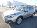 Tungsten Metallic - Outback 2.5i Premium Photo No. 10