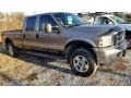 2005 Arizona Beige Metallic Ford F350 Super Duty Lariat Crew Cab 4x4  photo #16