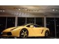 Giallo Halys (Yellow) - Gallardo Coupe Photo No. 38