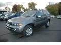 2006 Sterling Grey Metallic BMW X5 3.0i  photo #3