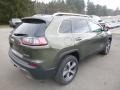 Olive Green Pearl - Cherokee Limited 4x4 Photo No. 5