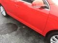 Tornado Red - Jetta TDI SportWagen Photo No. 10