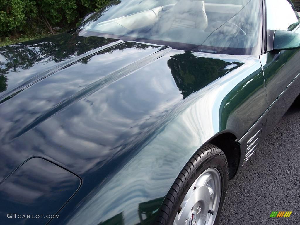 1994 Corvette Convertible - Polo Green Metallic / Light Beige photo #15