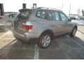 Platinum Bronze Metallic - X3 3.0si Photo No. 7