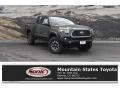 2019 Magnetic Gray Metallic Toyota Tacoma TRD Off-Road Double Cab 4x4  photo #1
