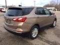 2019 Sandy Ridge Metallic Chevrolet Equinox LT AWD  photo #6