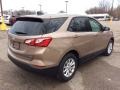 Sandy Ridge Metallic - Equinox LS AWD Photo No. 6