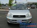 Titanium Metallic - RAV4 4WD Photo No. 2