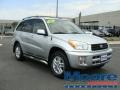 Titanium Metallic - RAV4 4WD Photo No. 3