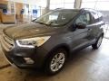 2019 Magnetic Ford Escape SEL 4WD  photo #5