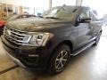 Agate Black Metallic - Expedition XLT Max 4x4 Photo No. 5