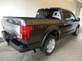 2018 Magnetic Ford F150 Platinum SuperCrew 4x4  photo #2