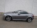 Palladium Silver Metallic - SLK 300 Roadster Photo No. 5