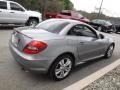 Palladium Silver Metallic - SLK 300 Roadster Photo No. 9