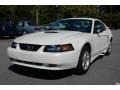 2002 Oxford White Ford Mustang V6 Coupe  photo #10