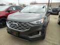 Magnetic - Edge SEL AWD Photo No. 1