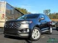 2019 Magnetic Ford Edge SEL AWD  photo #1