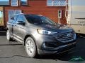2019 Magnetic Ford Edge SEL AWD  photo #7