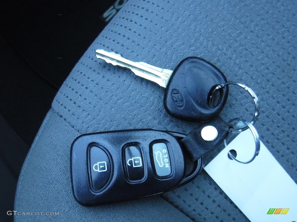 2009 Sonata GLS V6 - Bright Silver / Gray photo #25