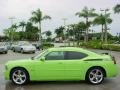 Sublime Metallic - Charger R/T Daytona Photo No. 7