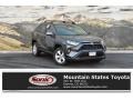 2019 Magnetic Gray Metallic Toyota RAV4 XLE AWD  photo #1