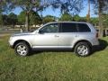 Reflex Silver Metallic - Touareg V6 Photo No. 46