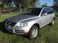 Reflex Silver Metallic - Touareg V6 Photo No. 52