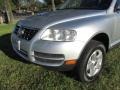 Reflex Silver Metallic - Touareg V6 Photo No. 63