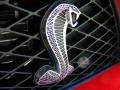 2009 Ford Mustang Shelby GT500 Convertible Badge and Logo Photo