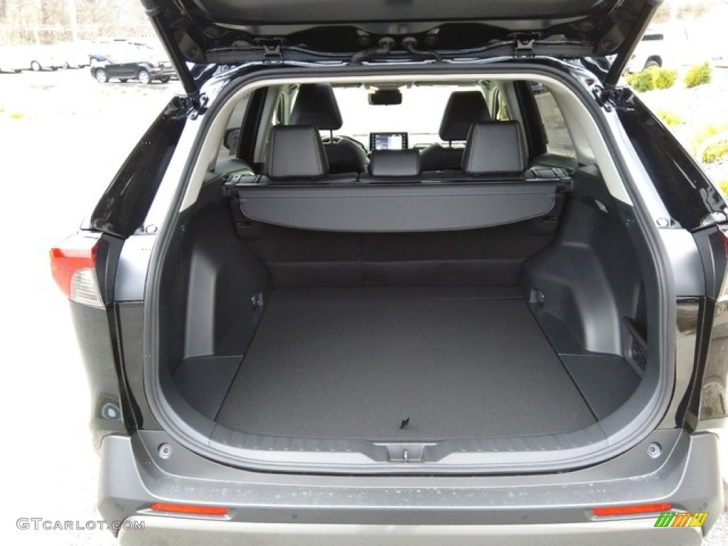 2019 Toyota RAV4 Limited AWD Trunk Photo #131054354