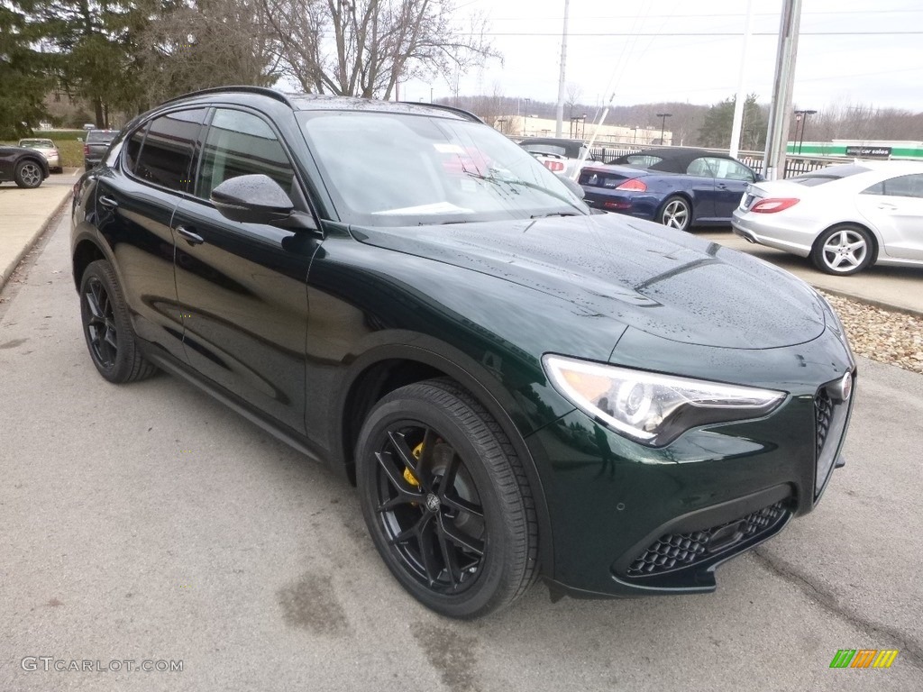 2019 Stelvio AWD - Verde Visconti (Green) Metallic / Black photo #11