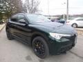 2019 Verde Visconti (Green) Metallic Alfa Romeo Stelvio AWD  photo #12