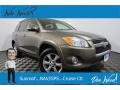 Classic Silver Metallic 2010 Toyota RAV4 Limited 4WD