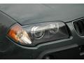 Highland Green Metallic - X3 3.0i Photo No. 10