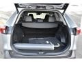  2019 RAV4 Limited AWD Trunk