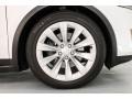 2017 Tesla Model X 75D Wheel and Tire Photo